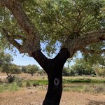 Photo taken by Michele R