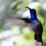 Photo taken by Wilbert A