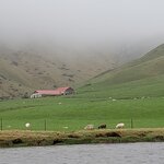 Photo taken by Amy C