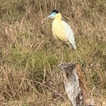 Photo taken by Kakoli K