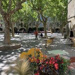 Photo taken by jane p