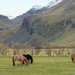 Photo taken by Sue F