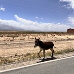 Photo taken by Vivianh H