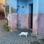 Photo taken by Heather H