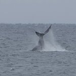 Photo taken by Joyce C