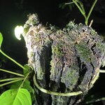 Photo taken by Alexia M