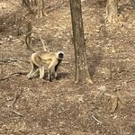 Photo taken by Mary R