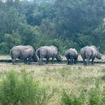 Photo taken by Christopher F