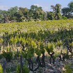 Photo taken by Kallie P