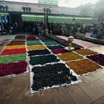 Photo taken by Rajarshi M