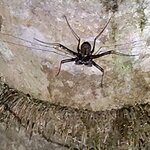 Photo taken by Brett F