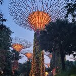 Photo taken by Sabiha K