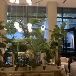 Photo taken by Paul P