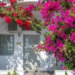Imerovigli  doorway dominated by red bougainvillea | Photo taken by David B
