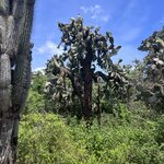 Photo taken by Norma G