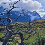 Photo taken by Arnie S