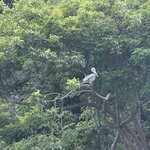 Photo taken by Dana F