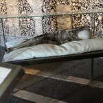 Photo taken by Rocky L