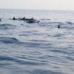 Photo taken by Dixie W