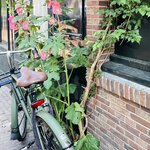 Photo taken by Janice W