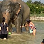 Photo taken by Shannon H