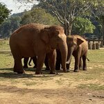 Photo taken by Megan H