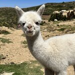 Photo taken by Mai S