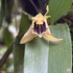 Photo taken by Ora Y