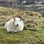 Photo taken by Marcy B