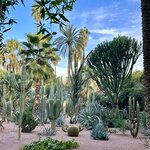 Photo taken by N.J. P