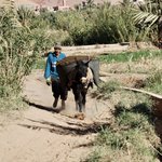 Photo taken by Margi S