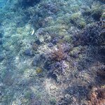 Photo taken by Dixie W