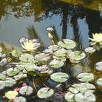 null | Photo taken by Wayne P