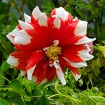 Photo taken by Christina L