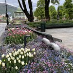 Photo taken by Susan K