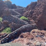 Photo taken by Braedon G