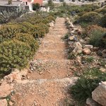 Photo taken by Victoria P