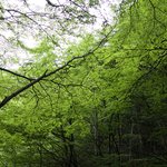 Photo taken by Mariellen S