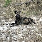 Photo taken by rhonda c