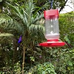 Photo taken by Darcy M