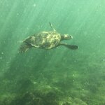 Photo taken by Nicole S