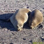 Photo taken by Richard P