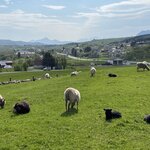 Photo taken by Susan K