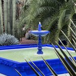 Photo taken by Thomas R