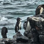 Photo taken by Barry T