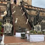 Photo taken by Leslie S