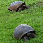 Photo taken by Patricia D