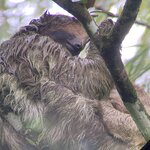 Photo taken by Karen S