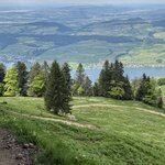 Photo taken by Laura H