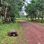 Photo taken by Katarzyna W